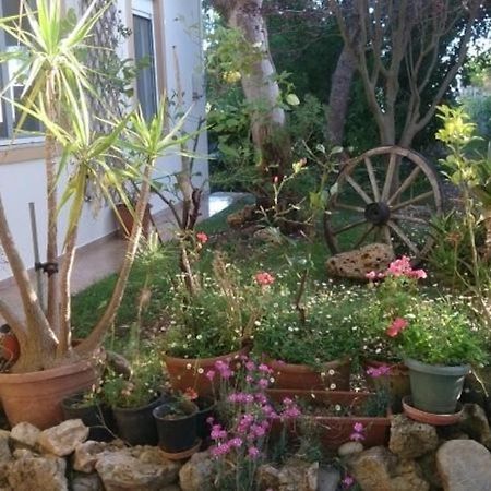 Somatás 米克罗斯天堂旅馆旅馆 外观 照片